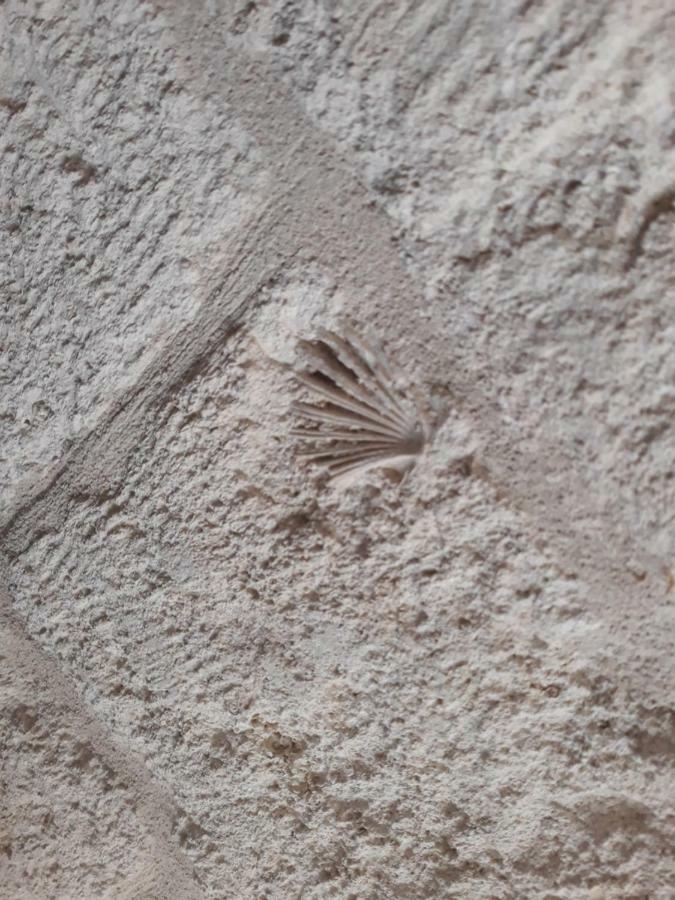 Ferienwohnung Dimora Sasi Locazione Turistica Polignano a Mare Exterior foto